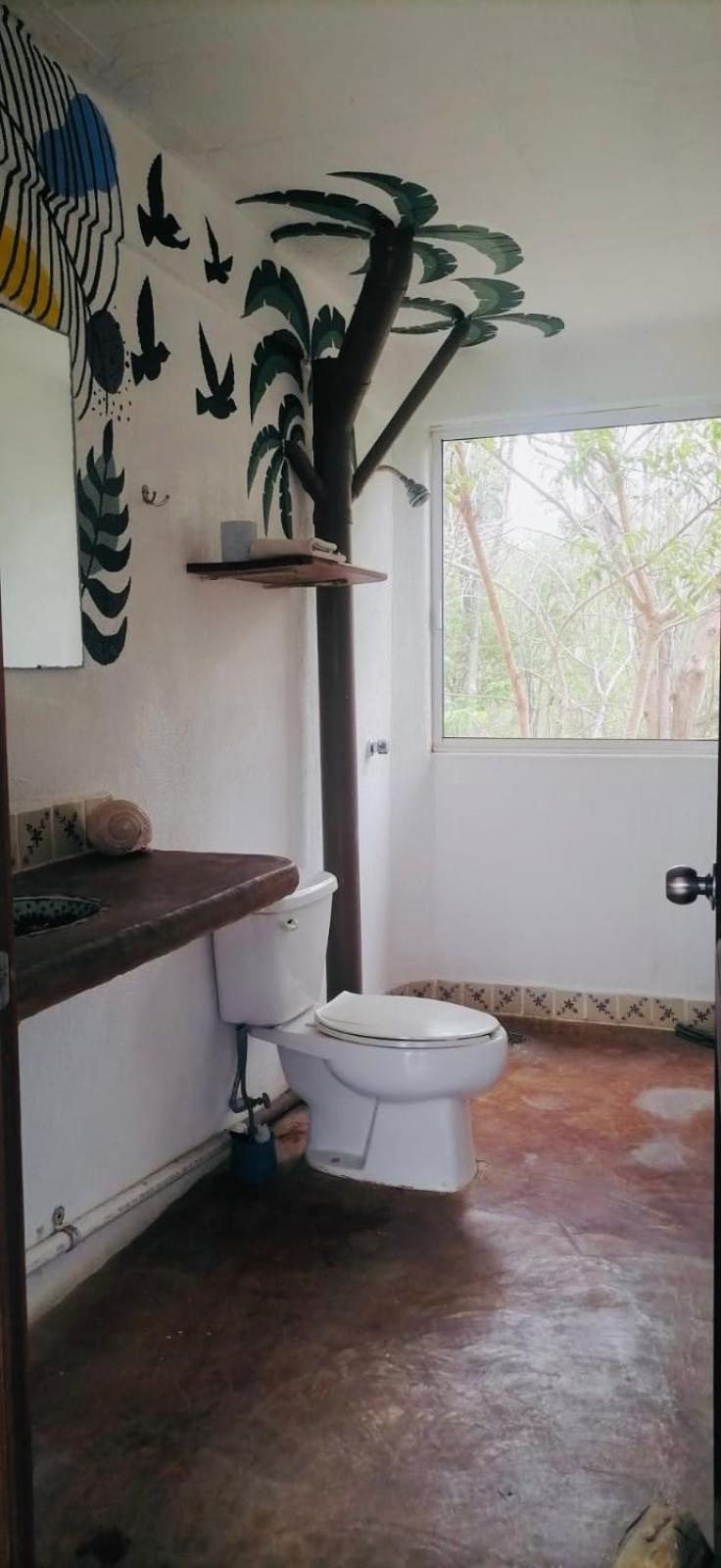 Casa Macondo Puerto Ángel エクステリア 写真
